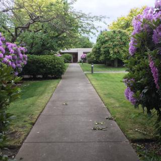 A peaceful garden path adorned with vibrant purple flowers.