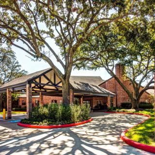 A scenic view of a building entrance with surrounding trees and a curved driveway.