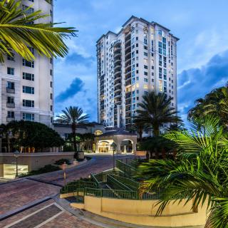A view of modern skyscrapers surrounded by palm trees in an urban setting during the evening.
