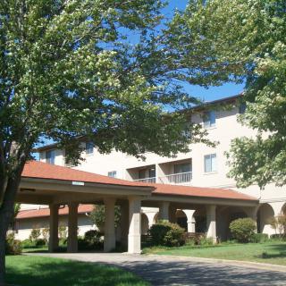 A view of a building entrance surrounded by trees on a sunny day.