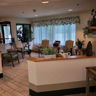 A cozy waiting room with comfortable seating and decorative plants.