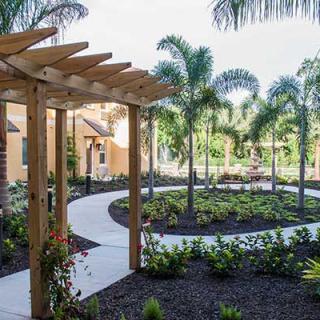 A beautifully landscaped garden featuring a winding pathway, palm trees, and a wooden pergola.