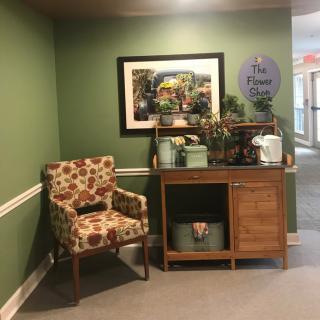 A cozy corner with a floral-patterned chair, wooden cabinet, and decorative plants against green walls.
