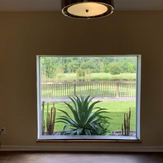 A serene view of lush greenery through a large window with indoor plants.