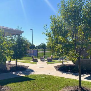 A sunny day in a park with trees and chairs along a pathway.