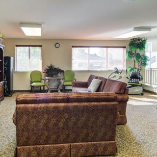 A cozy living room with a brown sofa, green chairs, and abundant natural light from large windows.