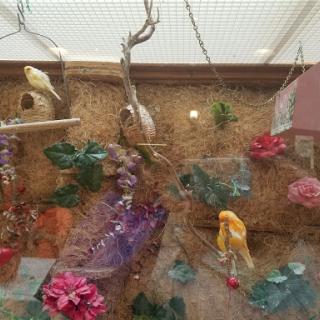 A vibrant display of birds in an aviary, surrounded by decorative flowers.