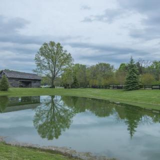 A tranquil pond reflects the surrounding trees and overcast sky in a peaceful outdoor setting.