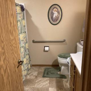 A bathroom with a toilet, shower curtain, and sink, featuring wall art and a green rug.