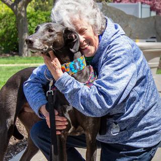 An elderly woman shares a warm embrace with her greyhound in a sunny outdoor setting.