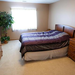 A minimalist bedroom with a bed, dresser, and plant by the window.