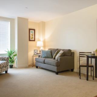 A cozy and well-lit living room with a sofa, dining table, and indoor plant.