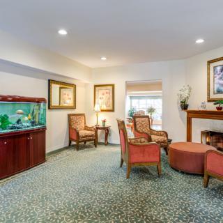 A cozy waiting room featuring comfortable seating, warm lighting, an aquarium, and decorative artwork.