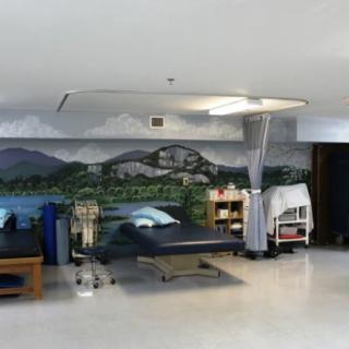 A hospital room with a bed and medical equipment, featuring a scenic mural on the wall.