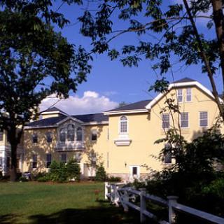 A charming yellow house surrounded by greenery and under a clear blue sky.
