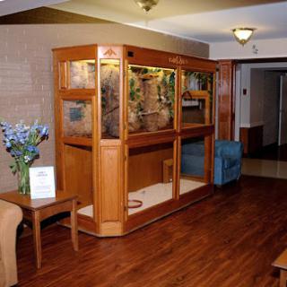 A cozy reception area featuring a wooden display cabinet filled with plants and floral decorations.