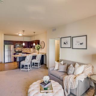 A modern open-concept living space featuring a cozy living room and an adjacent kitchen with counter seating.