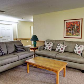 A cozy living room featuring two gray sofas, a wooden coffee table, a lamp, and wall artwork.