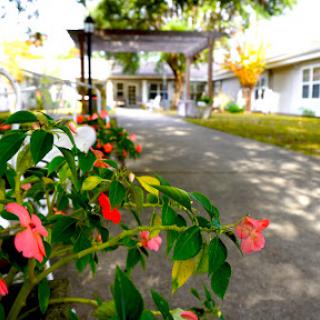 A vibrant garden scene featuring blooming flowers along a serene pathway leading to a welcoming entrance.