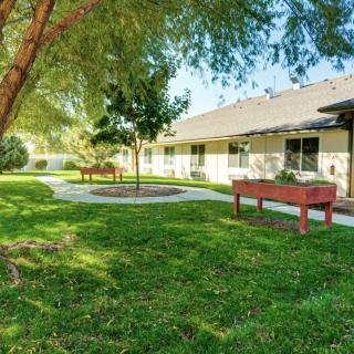 A peaceful garden area with trees and benches beside a building.