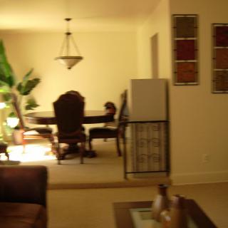 A cozy living and dining area with a table, chairs, and a plant under soft lighting.