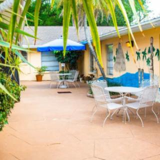 A cozy patio area with outdoor seating, surrounded by lush tropical plants.