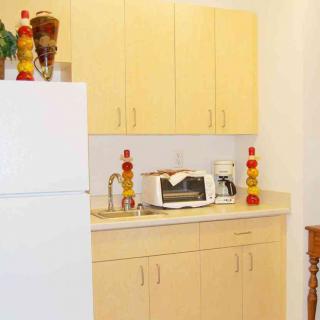 A small kitchen area with light wooden cabinets, a microwave, and a refrigerator.