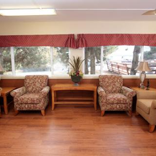 A cozy living room setup with patterned chairs and wooden furniture, bathed in natural light from large windows.