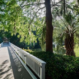 The Cypress of Hilton Head