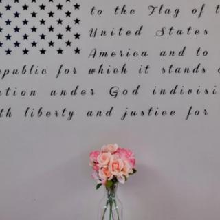 A wall with patriotic text and a vase holding pink flowers in front of it.