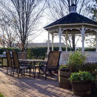 A charming outdoor patio with a gazebo and seating area surrounded by lush plants.