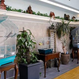 A room decorated with bird cages and potted plants on tables.