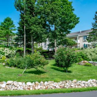 A landscaped garden with trees and shrubs surrounded by a rock border.