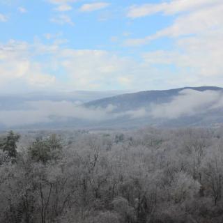 A scenic view of a frosty forest with mountains and clouds in the background.