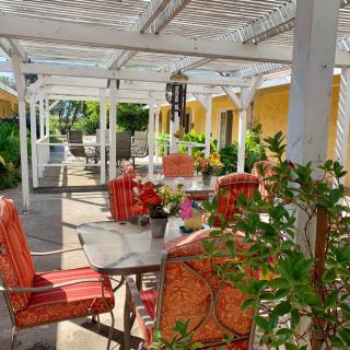 A sunny patio with comfortable outdoor seating, vibrant plants, and a charming pergola.
