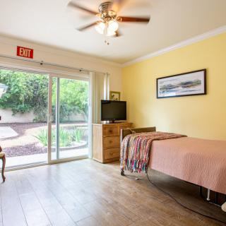 A modern and minimalist bedroom interior with ample natural light, featuring a single bed, wooden flooring, and a view of the garden through sliding glass doors.