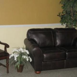 A cozy living room with a brown leather sofa, a wooden chair, and decorative plants.