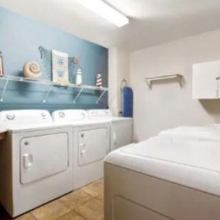 A well-organized laundry room with washers, dryers, and decorative elements on shelves.