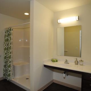 A modern bathroom with a shower, sink, and mirror.
