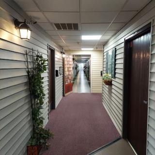 A view of a well-lit hallway with doors on either side, adorned with plants and carpeted flooring.