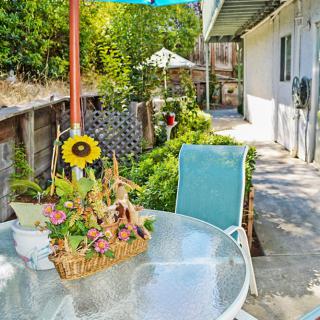 A cozy backyard patio with a glass table adorned with a sunflower basket, surrounded by lush greenery and outdoor chairs.