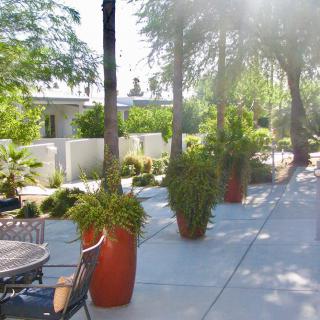 A sunny outdoor patio area with potted plants and trees lining the sidewalk.