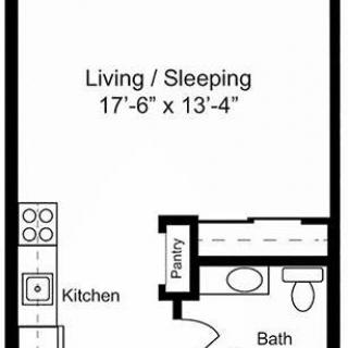 A studio apartment floor plan featuring a combined living and sleeping area, kitchen, bathroom, and pantry.
