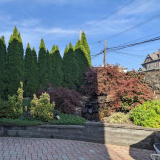A serene garden with lush greenery and a clear blue sky.