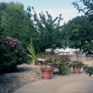 A serene garden setting with potted plants and trees lining a pathway.