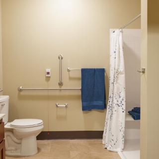 An accessible bathroom with a toilet, handrails, and a shower area with a curtain.