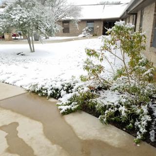 A serene winter scene showcasing a snow-covered garden and pathways.