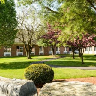 A tranquil garden scene with lush greenery and a brick building in the background.