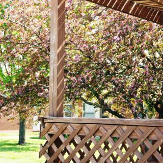 A picturesque wooden gazebo with lattice work, surrounded by trees in a sunny outdoor setting.