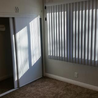 A well-lit empty room featuring vertical blinds and carpeted flooring.